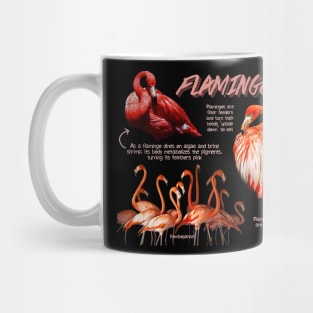 Flamingo Fun Facts Mug